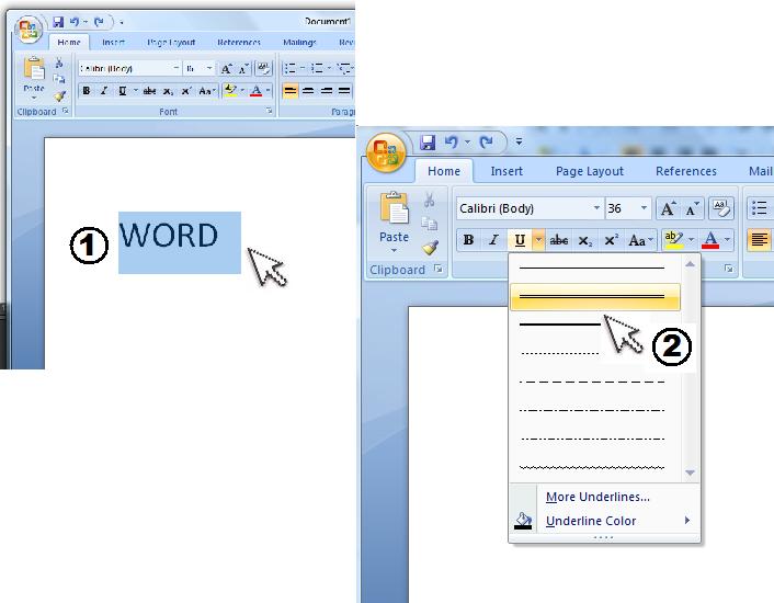 How do i double underline the selected text in microsoft office 